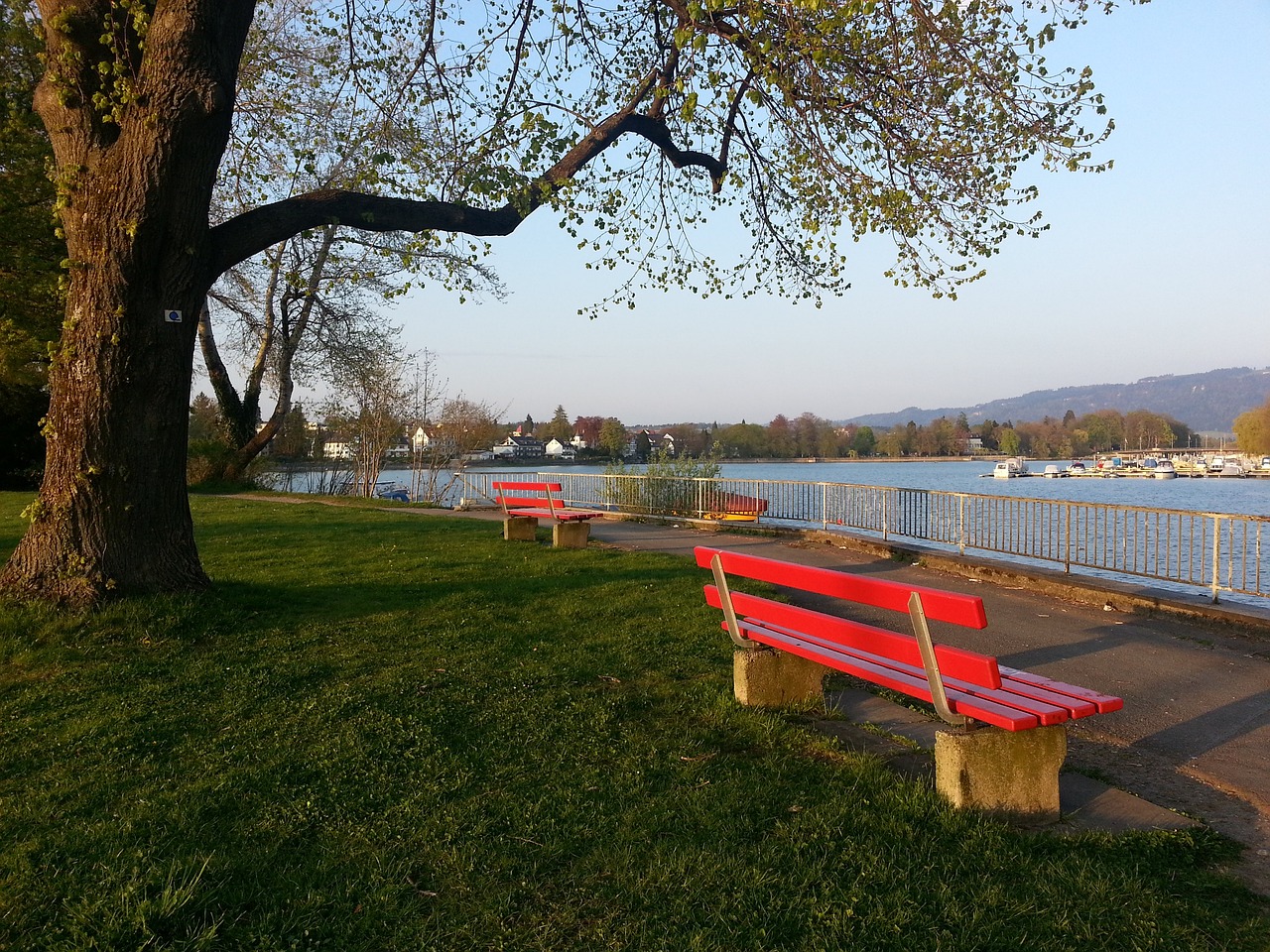 快速地将球 快速地将球