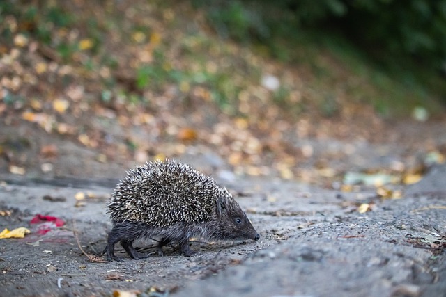 量的成长 量的成长