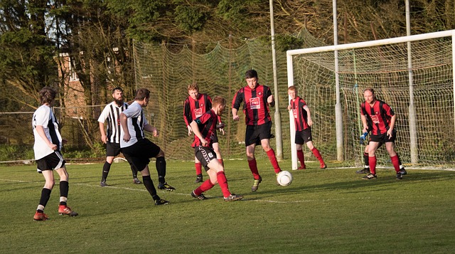 将在适应新 将在适应新