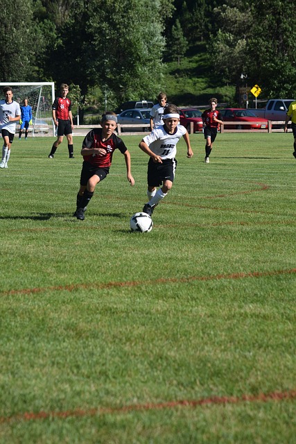 运动生涯增 运动生涯增