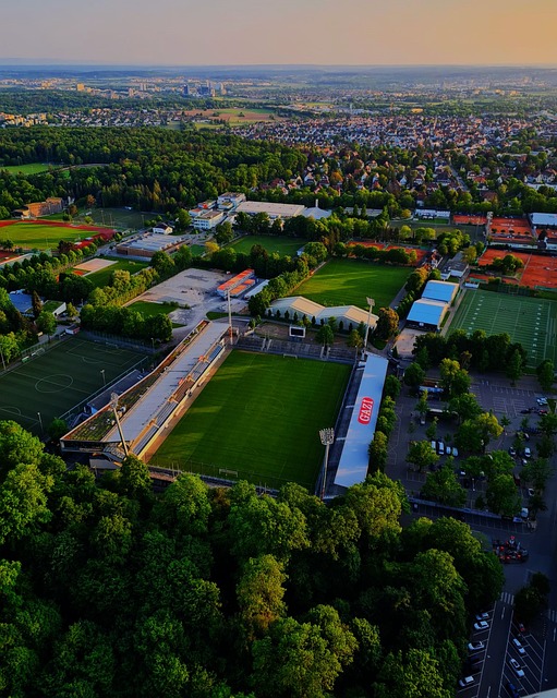 势并伺机反 势并伺机反