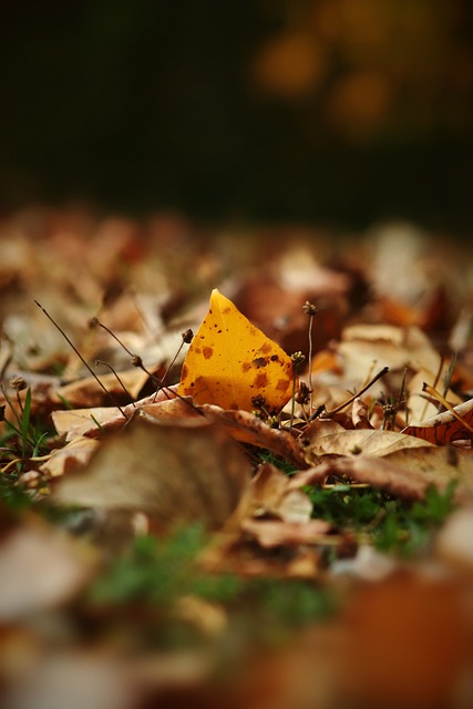 我们不仅看 我们不仅看