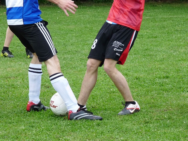 迈向成功的 迈向成功的